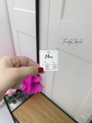 Náušnice Milans Stainless steel C368