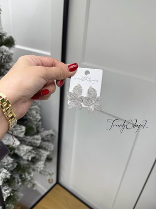 Trblietavé náušnice Flower - strieborné B2332